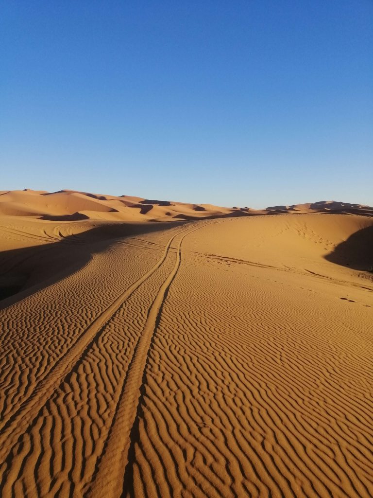 morocco in january