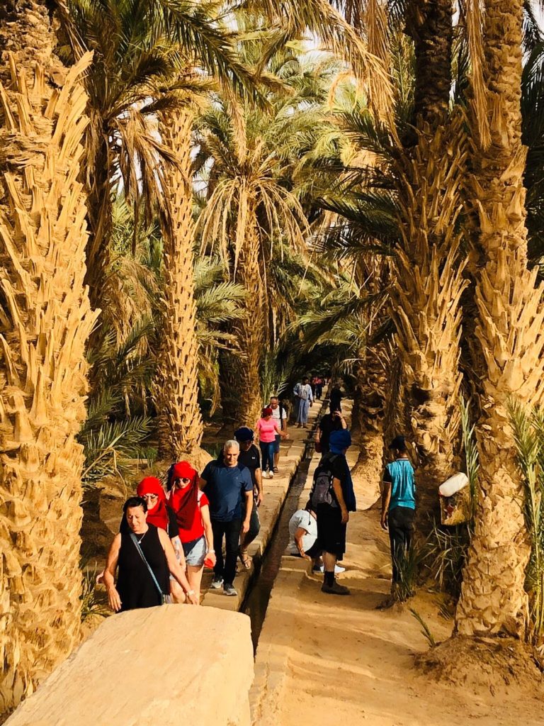 Affordable Family Travel Packages to Morocco