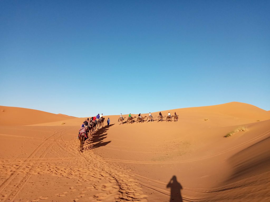Morocco Camel Trekking
