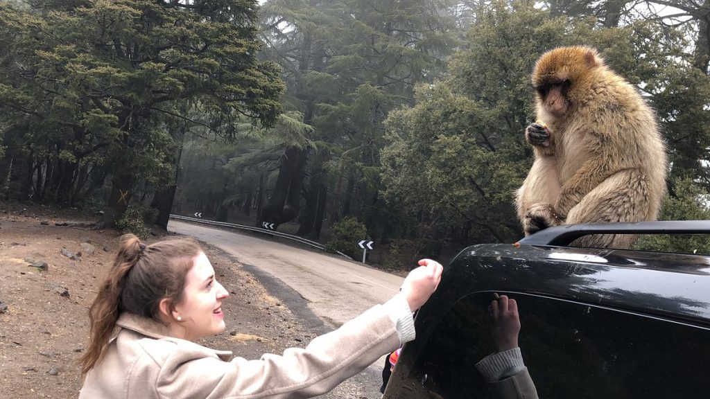 things to do in Morocco with kids