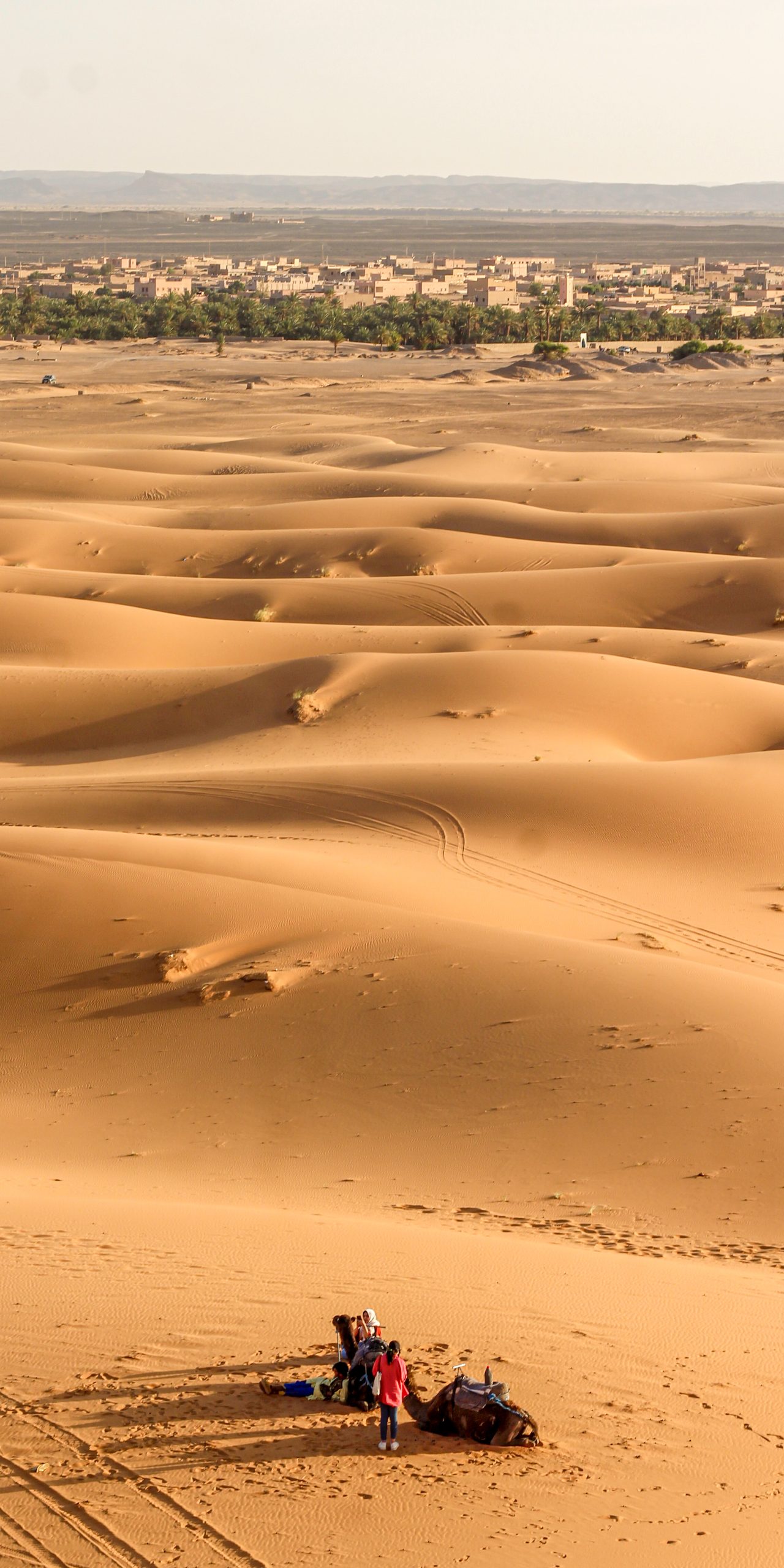 How To Get To The Sahara Desert