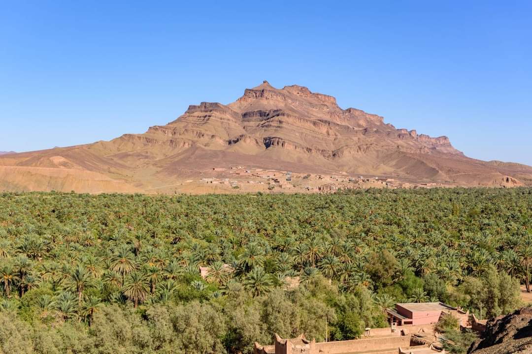 12 Days Morocco Adventure Tour