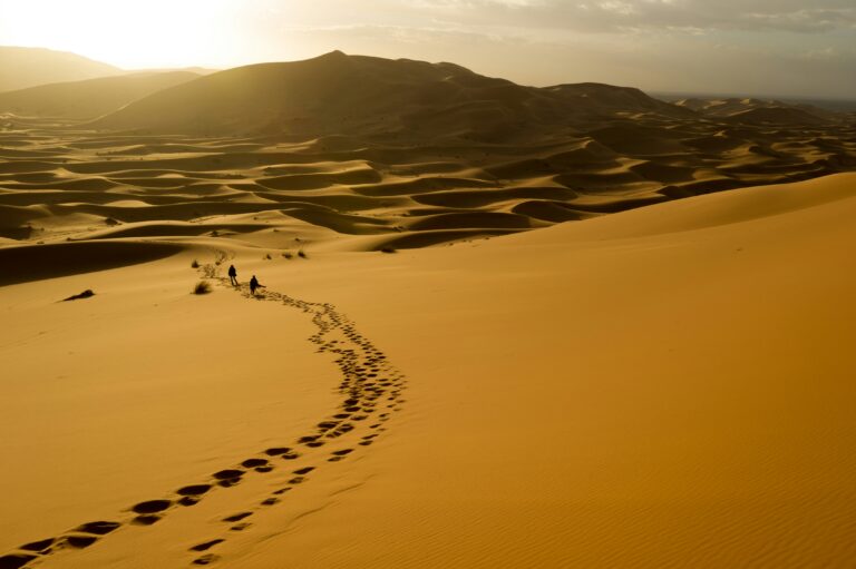 Sahara desert tours with locals