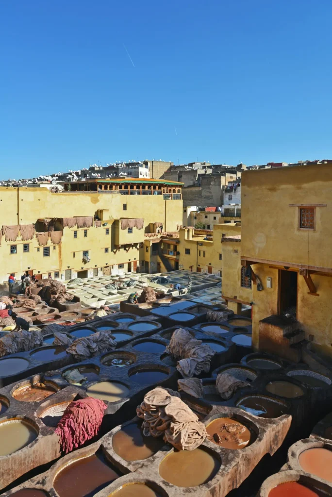 Fes, Chouara Tannery