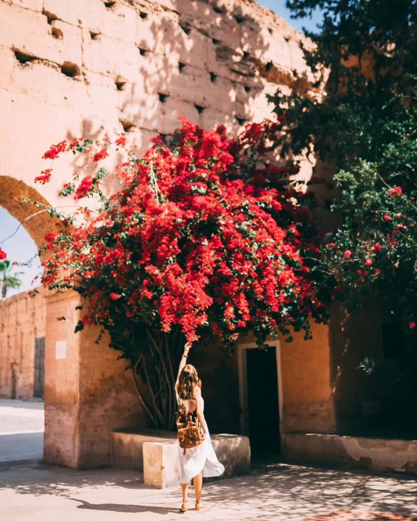 Morocco tours
