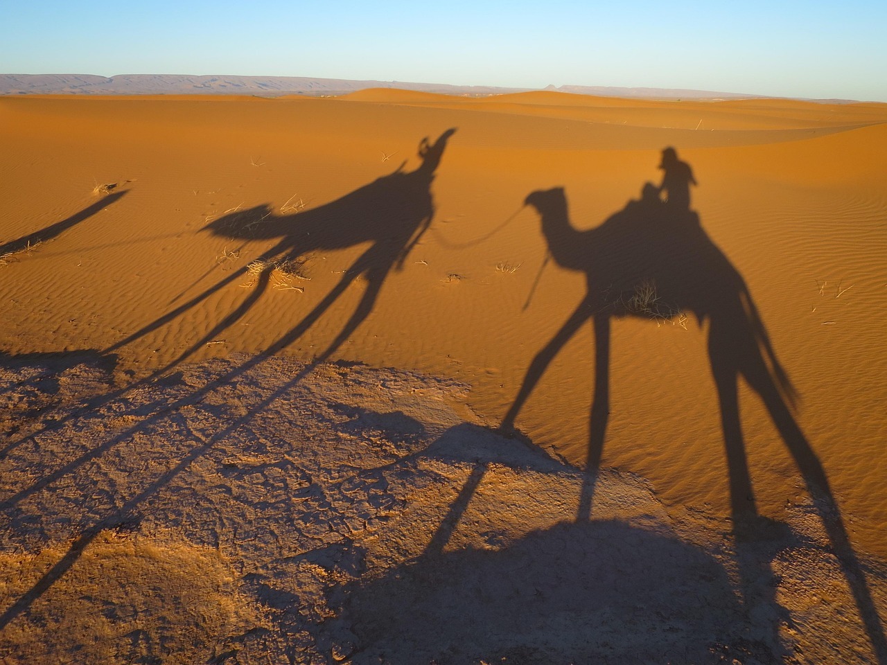 things to do in the sahara desert
