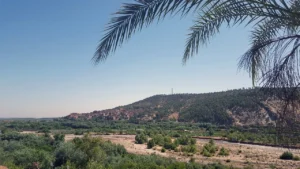 ziz valley