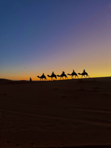 morocco camel trekking
