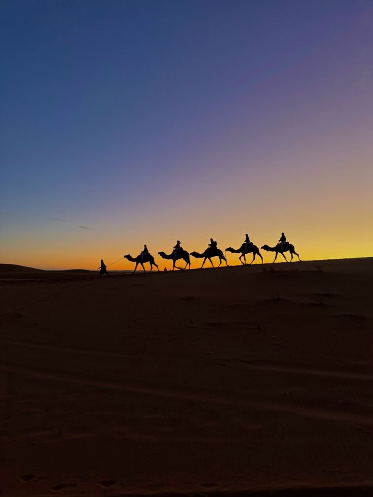 10 Magical Things to Do in Morocco's Sahara Desert