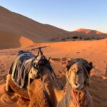 Merzouga vs Zagora Sahara