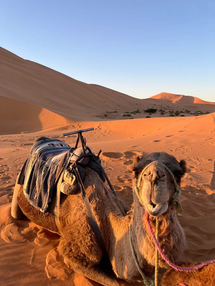 Merzouga vs Zagora Sahara
