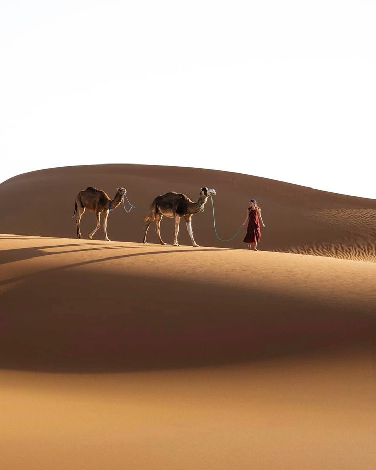Best Morocco Tours & Holidays