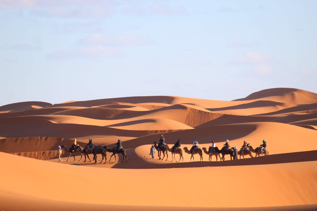 Morocco service tours