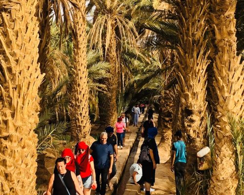 Family & Special Travel