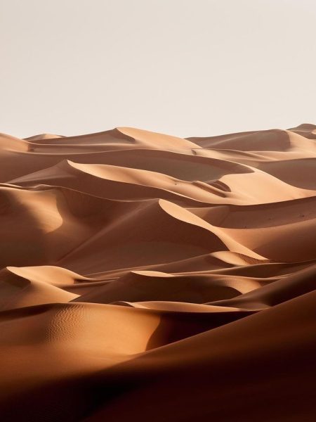 sahara desert tours