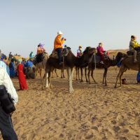 Home Morocco Service Tours morocco tours in sahara desert
