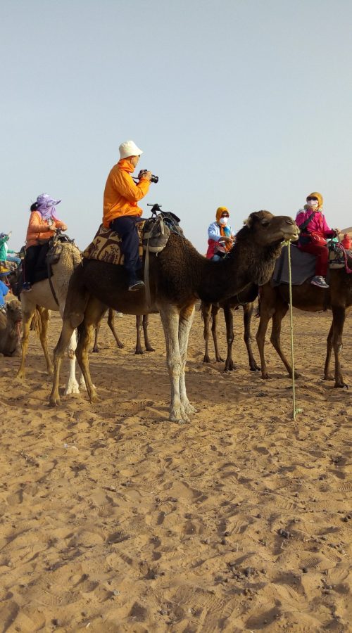Merzouga camel trekking travel in Morocco guide