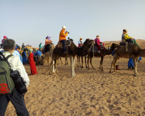 morocco tours in sahara desert