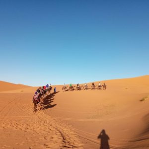 travel to morocco