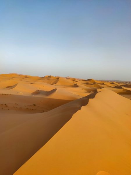 Sahara desert tours
