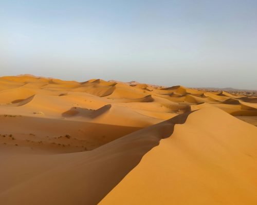 Sahara desert tours