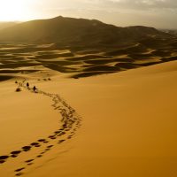 Sahara desert tours with locals