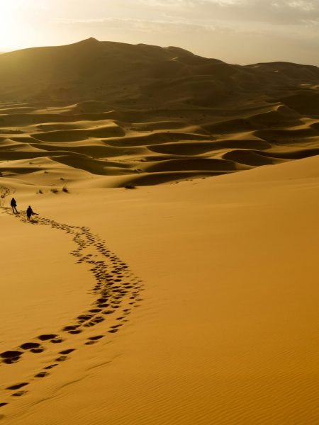 Sahara desert tours with locals