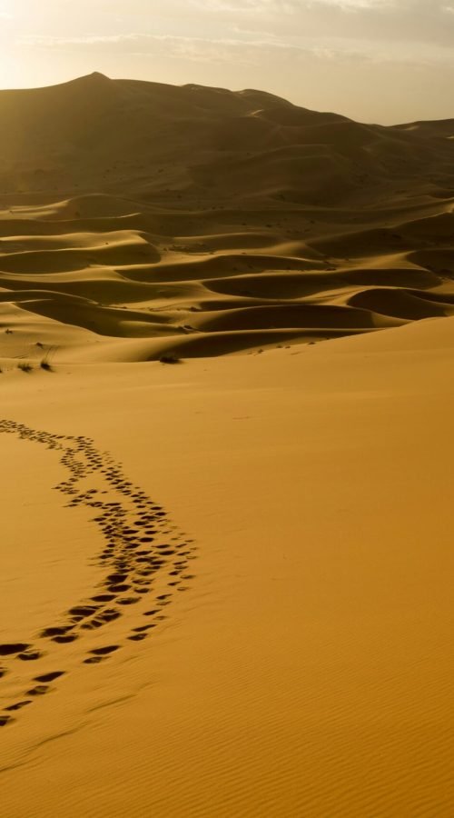 Sahara desert tours with locals